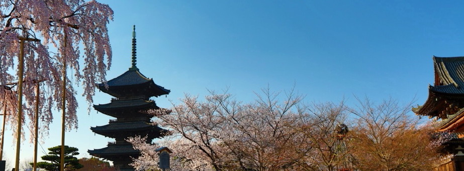 東寺春
